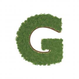 alphabet-g-made-green-tree-white-background