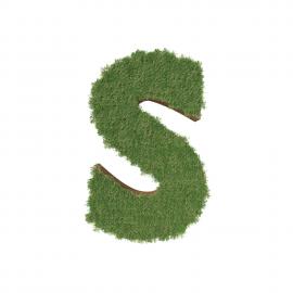 alphabet-s-made-green-tree