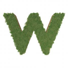 alphabet-w-made-green-tree